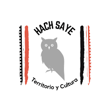 Logo Hach Saye