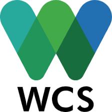 Logo WCS